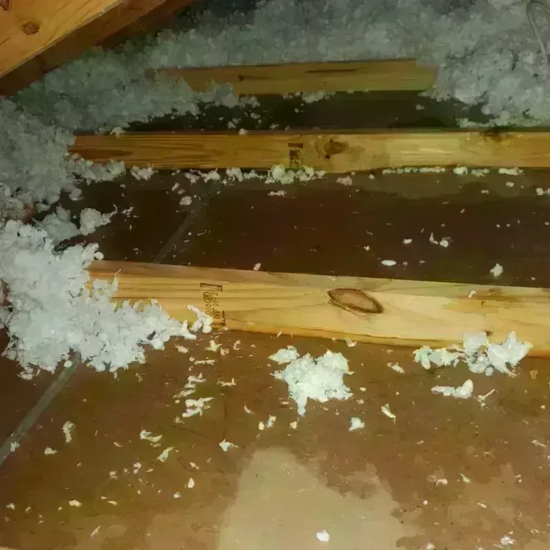 Attic Water Damage in La Joya, TX